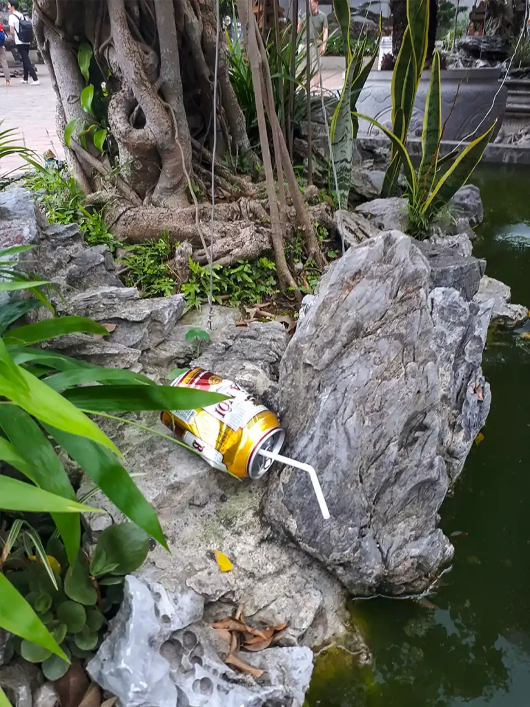 Hanoi Litter
