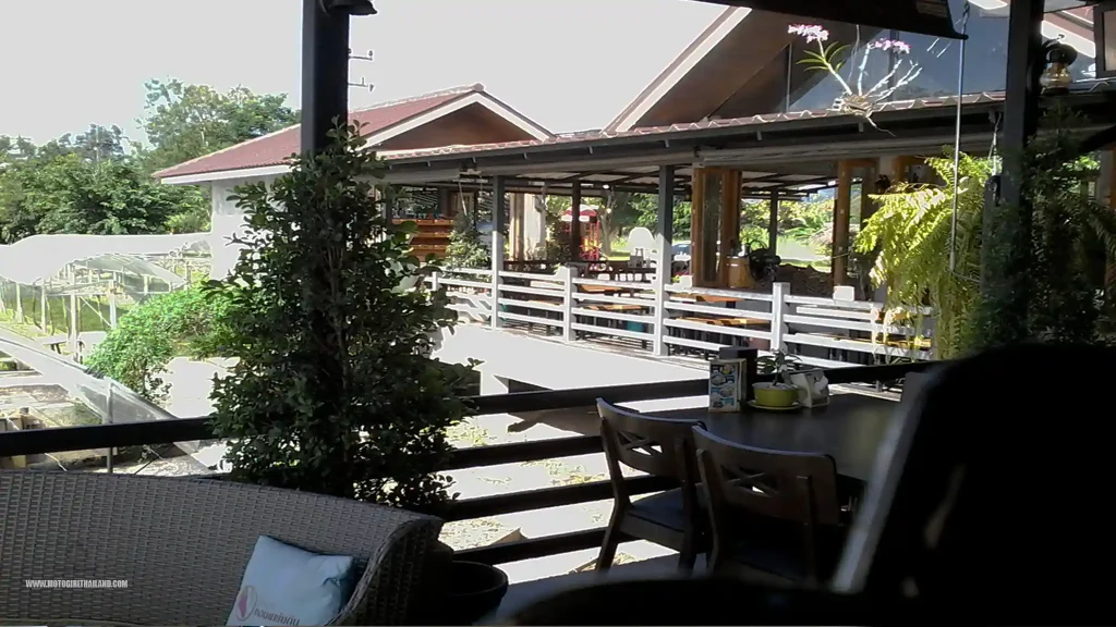 Hom Pan Din Vineyard