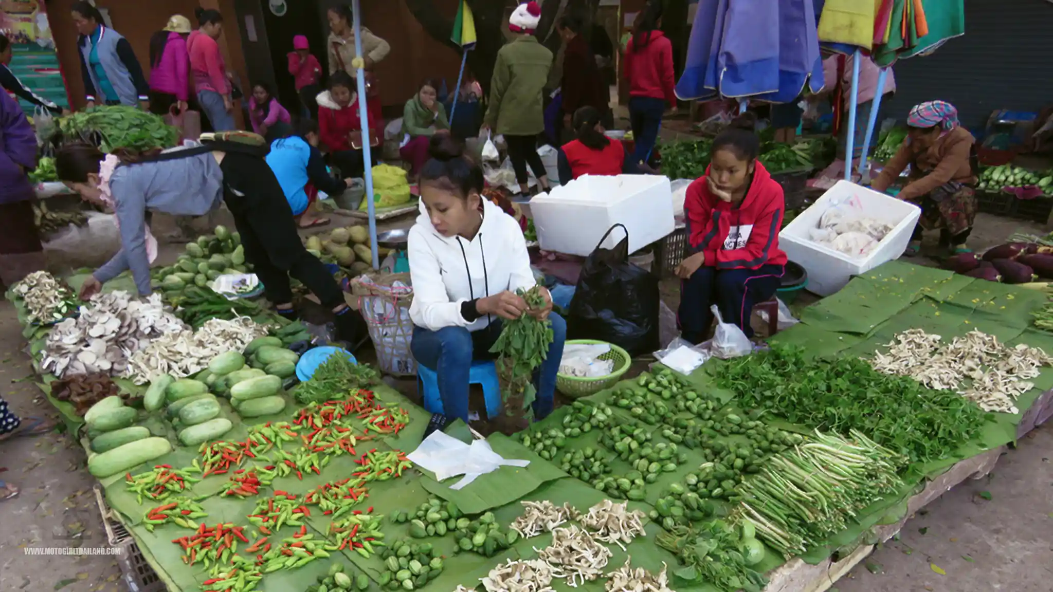 Laos Luang Namtha Morning Market