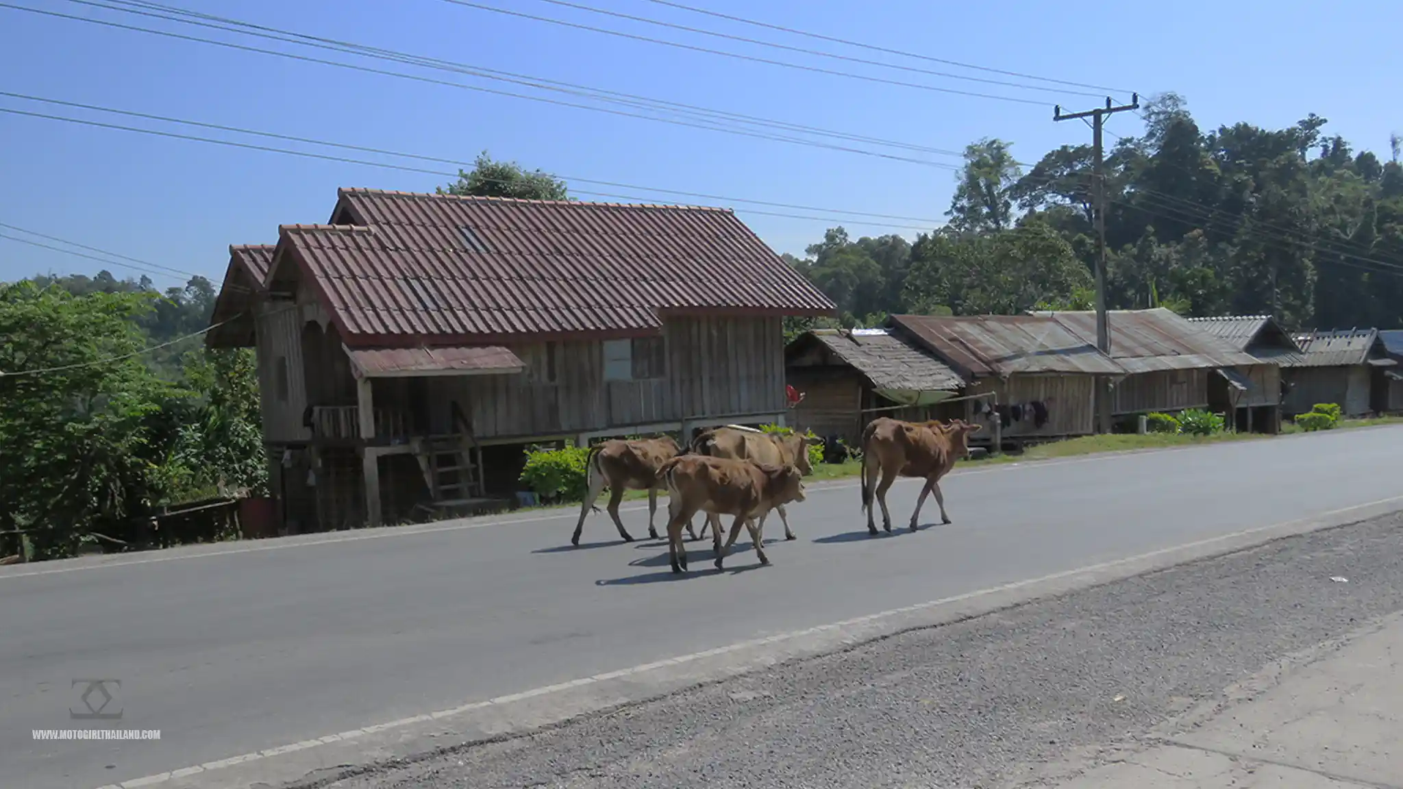 Laos Luang Namtha David & Z