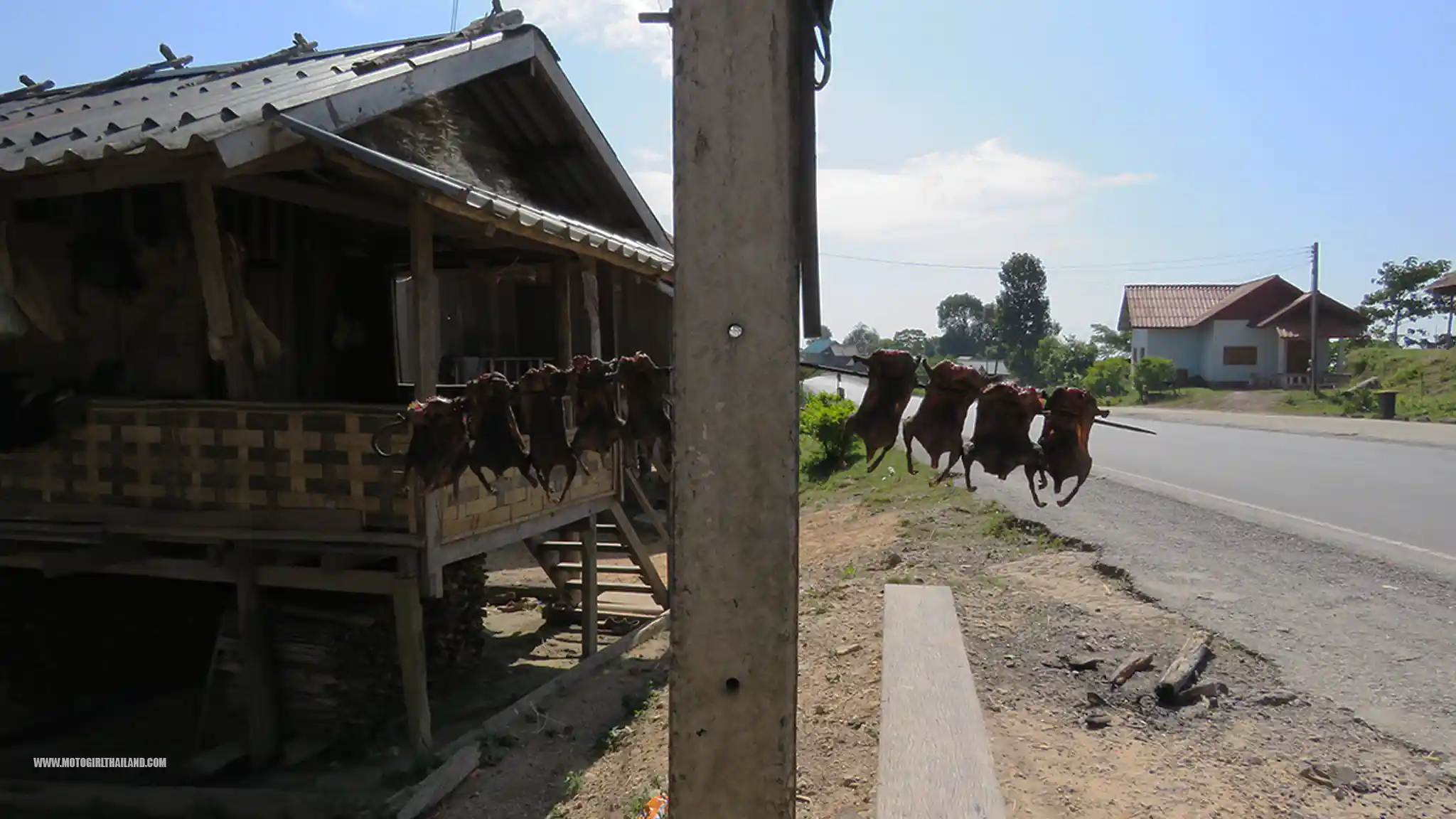 Laos Luang Namtha David & Z