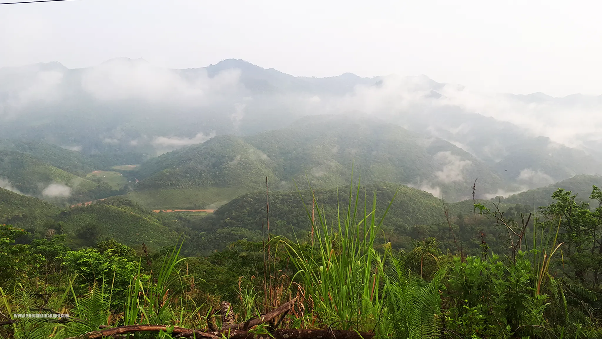 Doi Ang Khang Misty