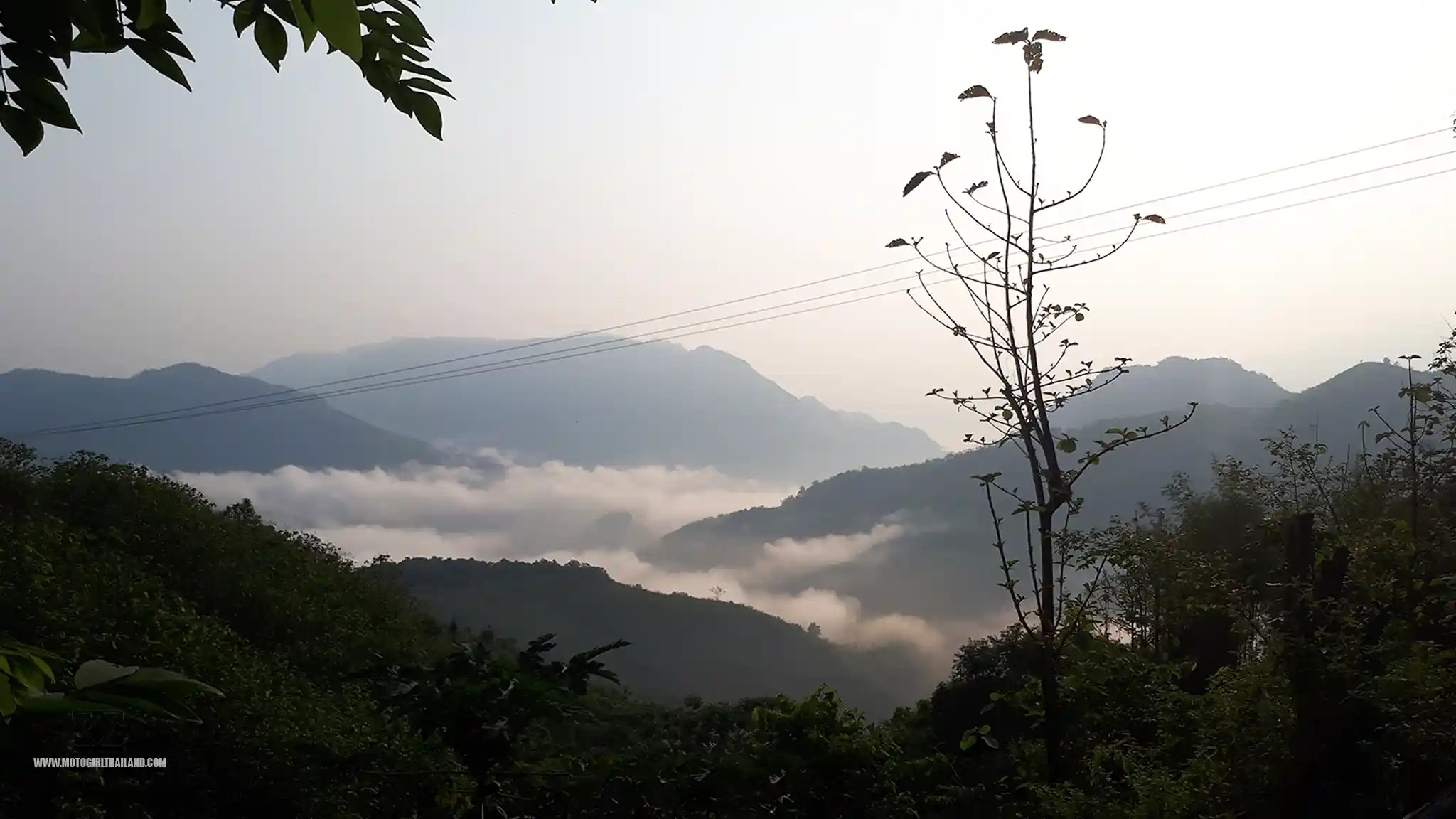 Laos Road