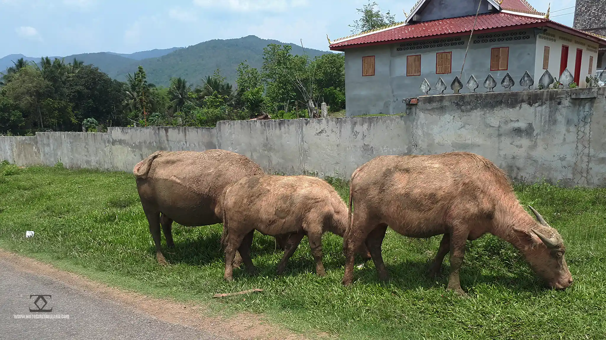 Laos Route to Kruang Falls