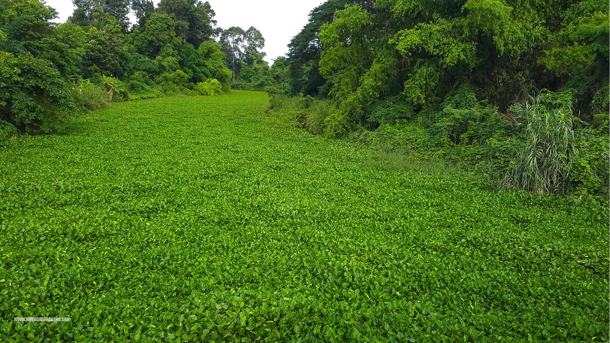 Chiang Mai to Dan Sai Route