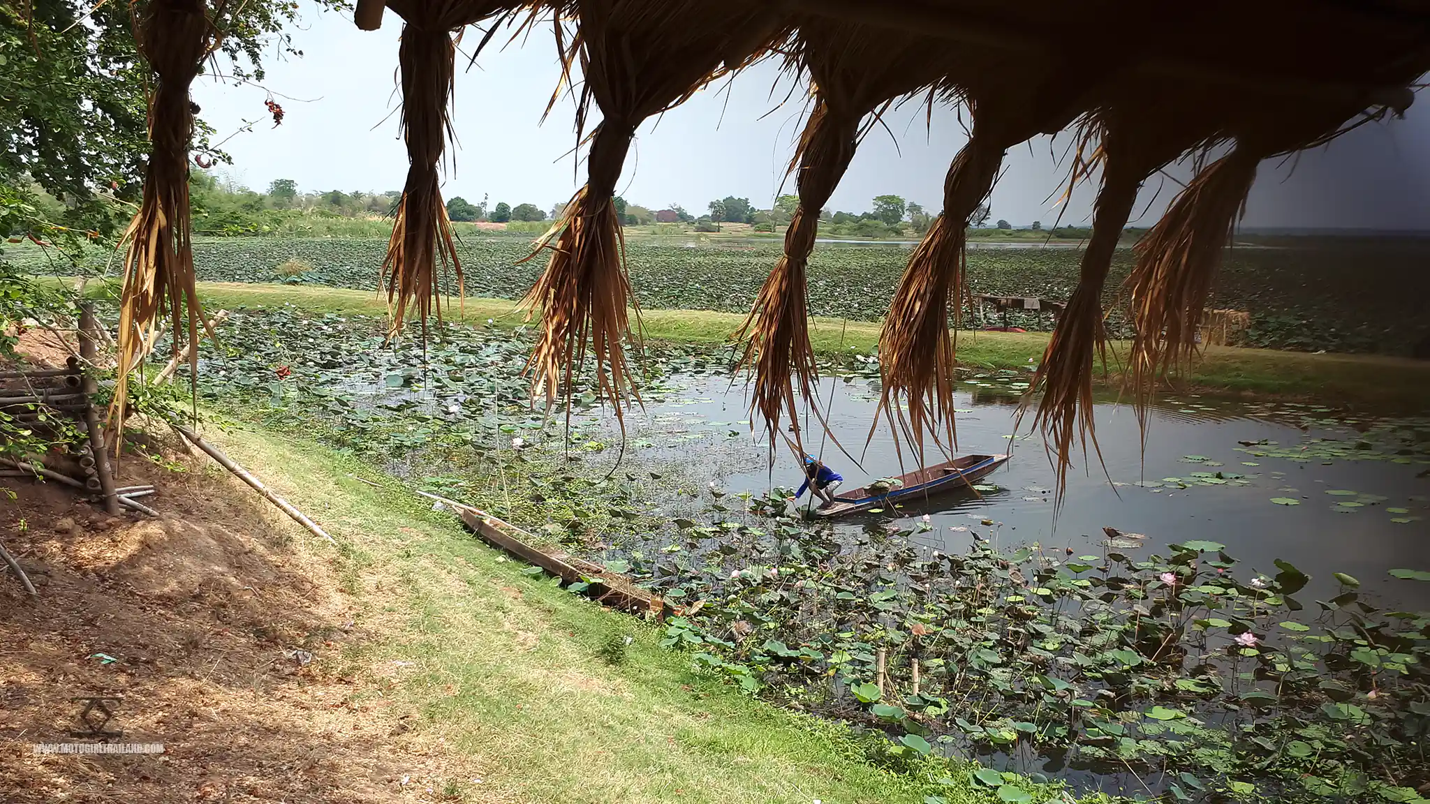 Lotus Lake