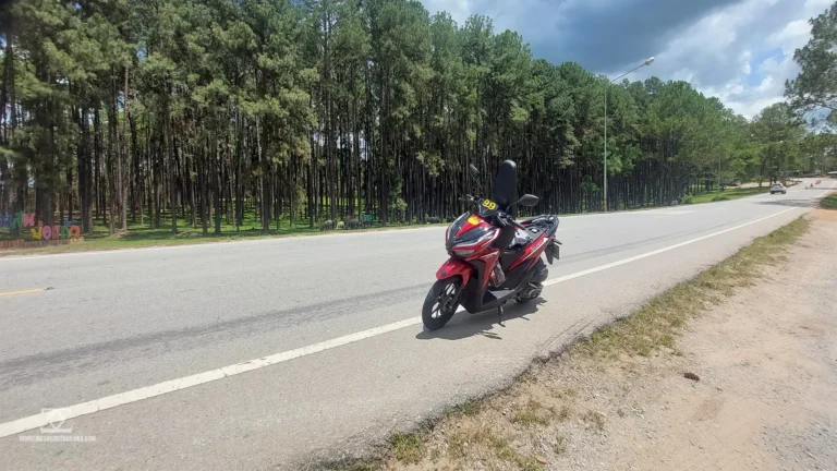 Honda Click on Mae Hong Son Loop Road with Pine Trees
