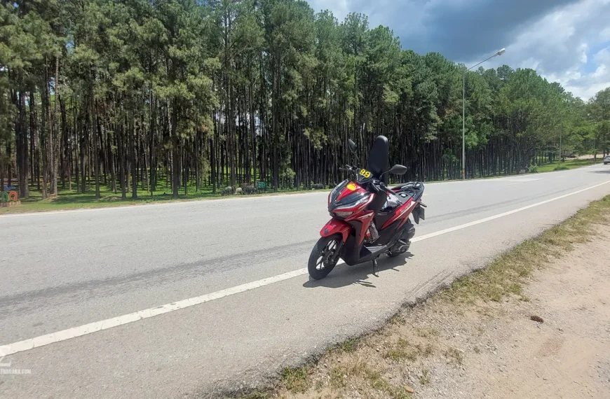 Honda Click on Mae Hong Son Loop Road with Pine Trees