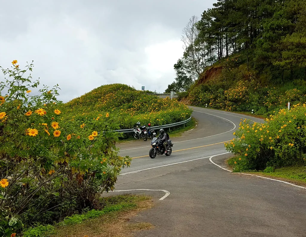 motorcycle on a road