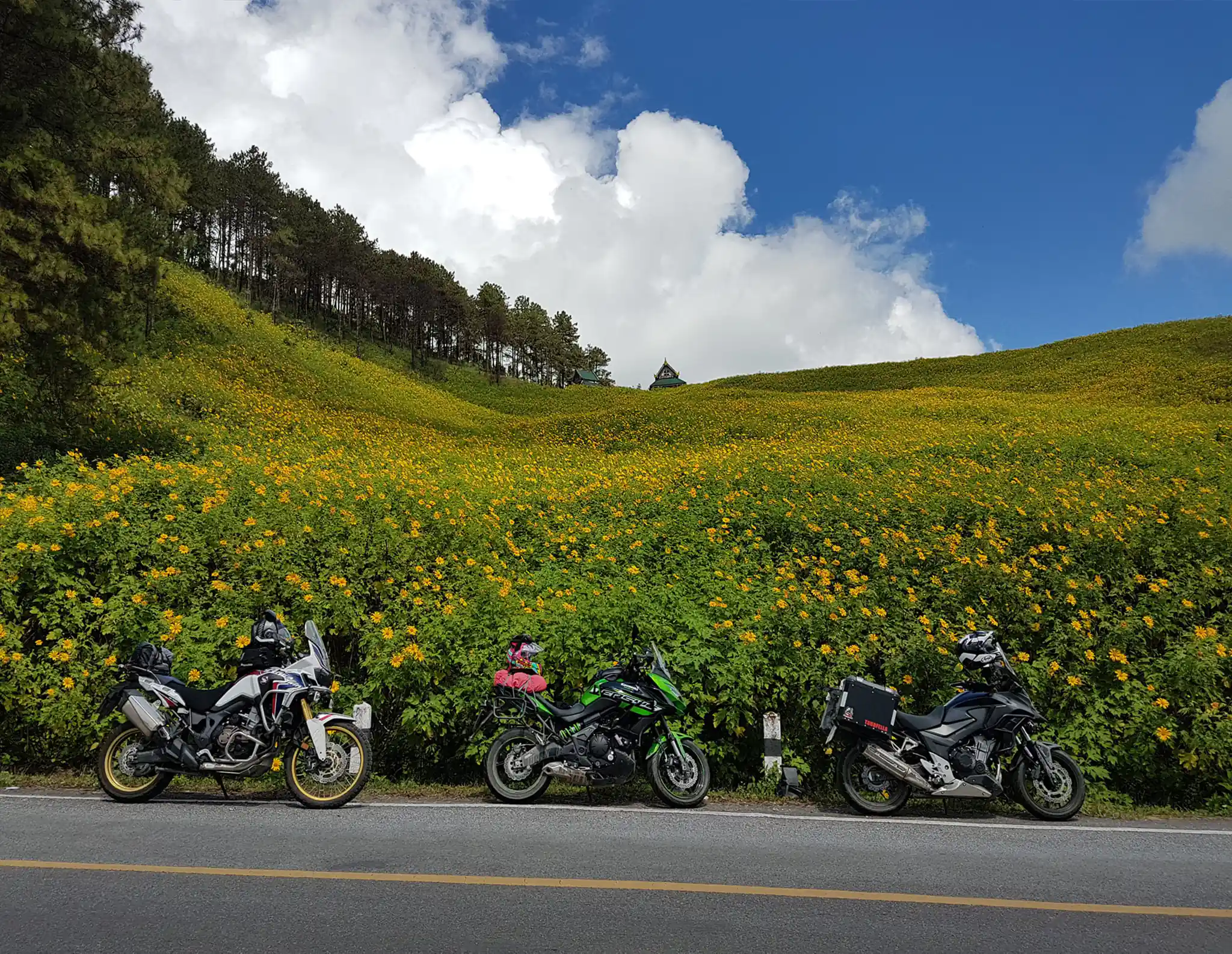 motorcycles on a road