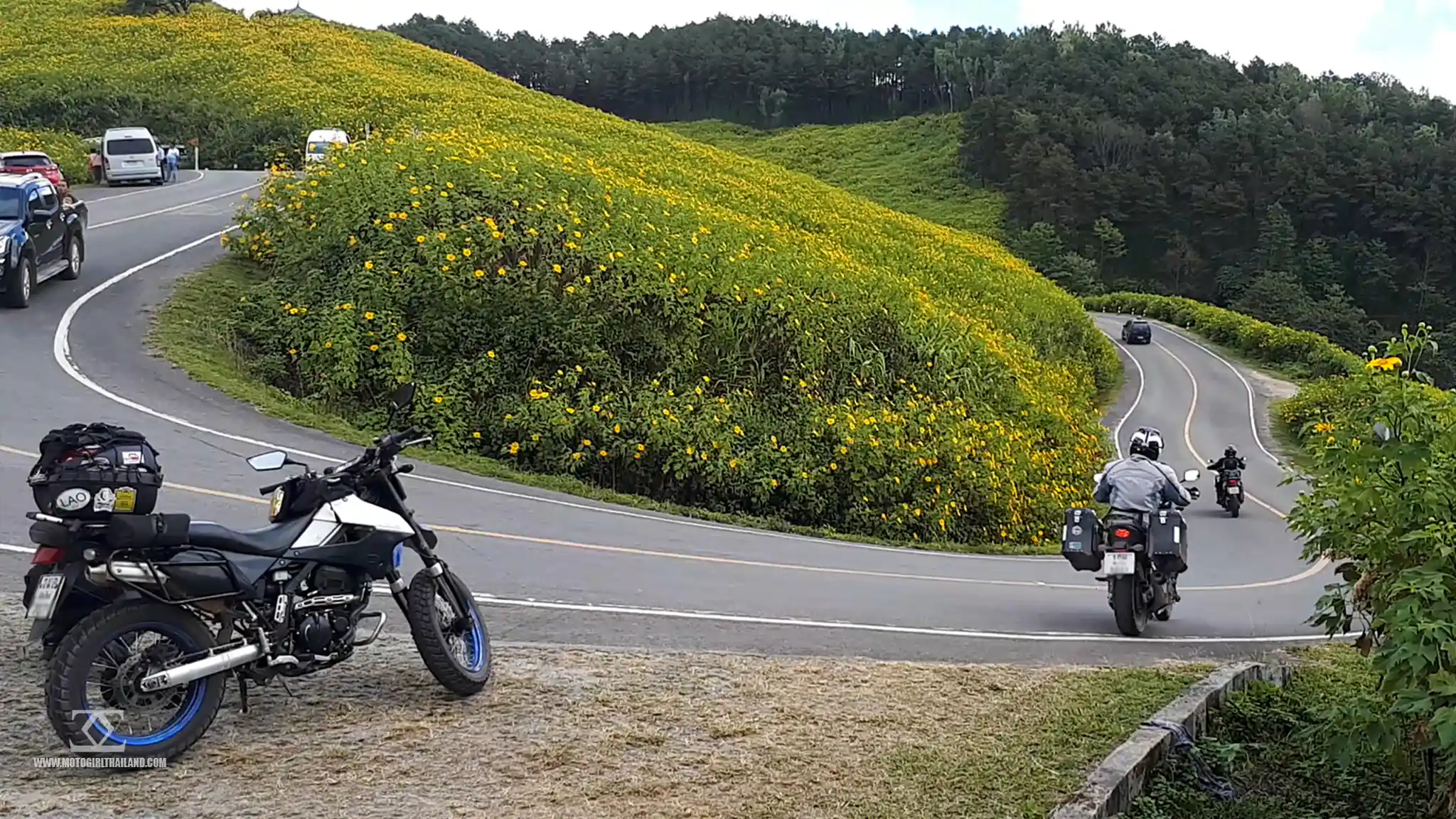 motorcycles on a road