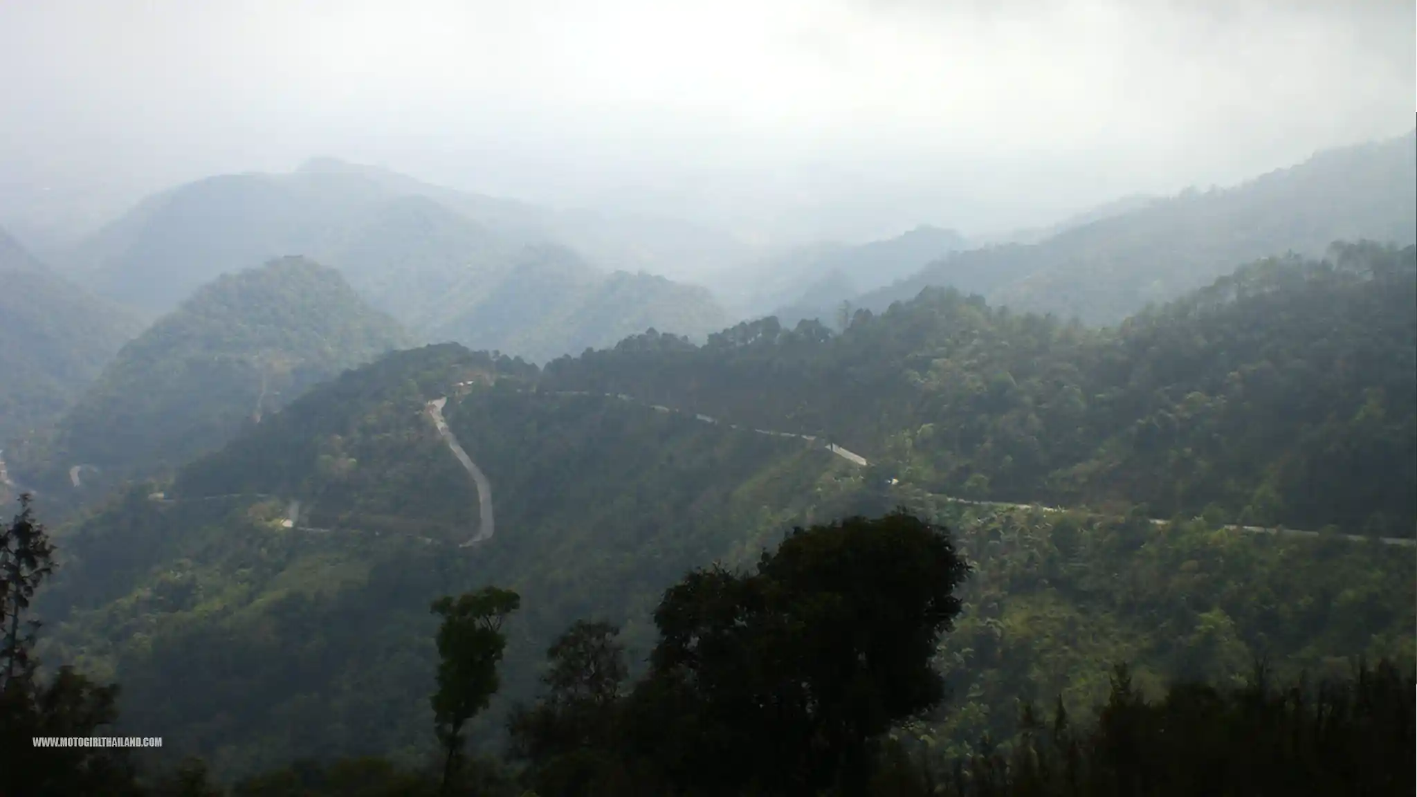 Doi Mae Salong