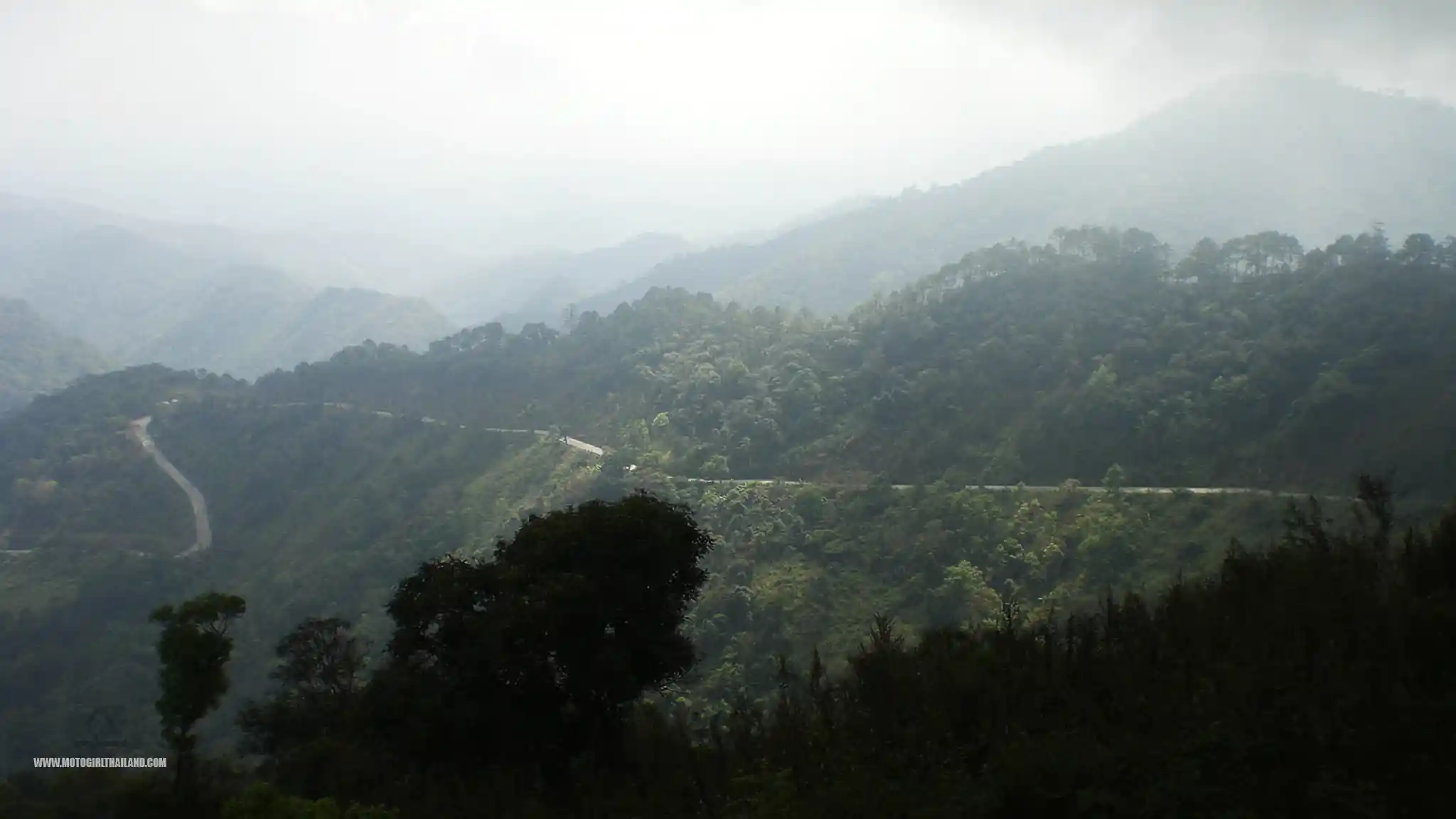 Doi Mae Salong