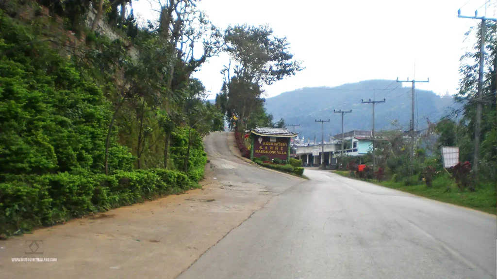 Doi Mae Salong