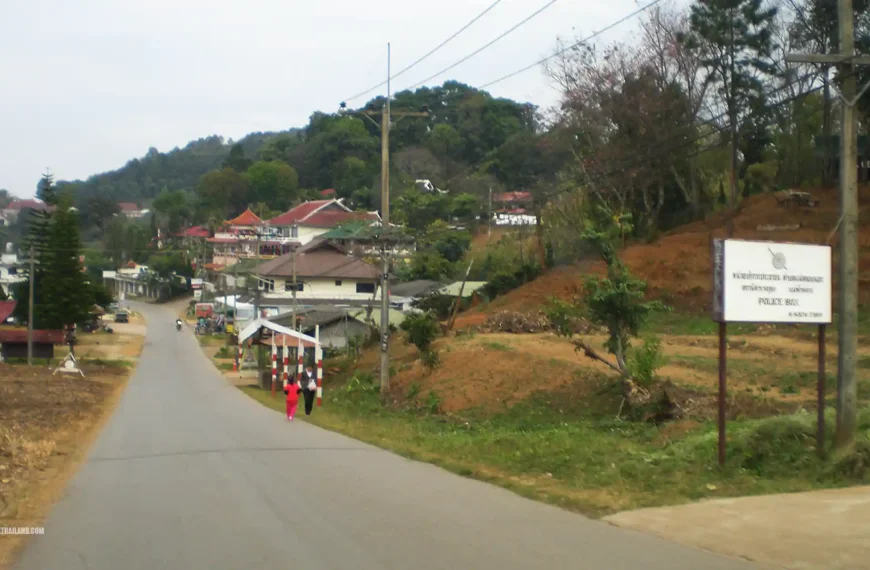 Doi Mae Salong