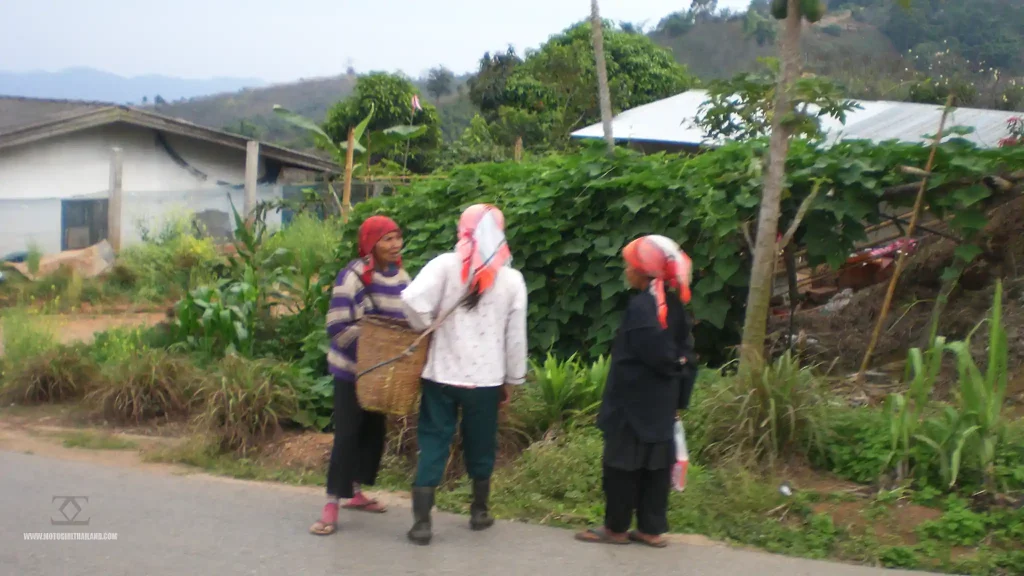 Doi Mae Salong