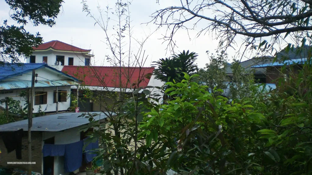 Doi Mae Salong