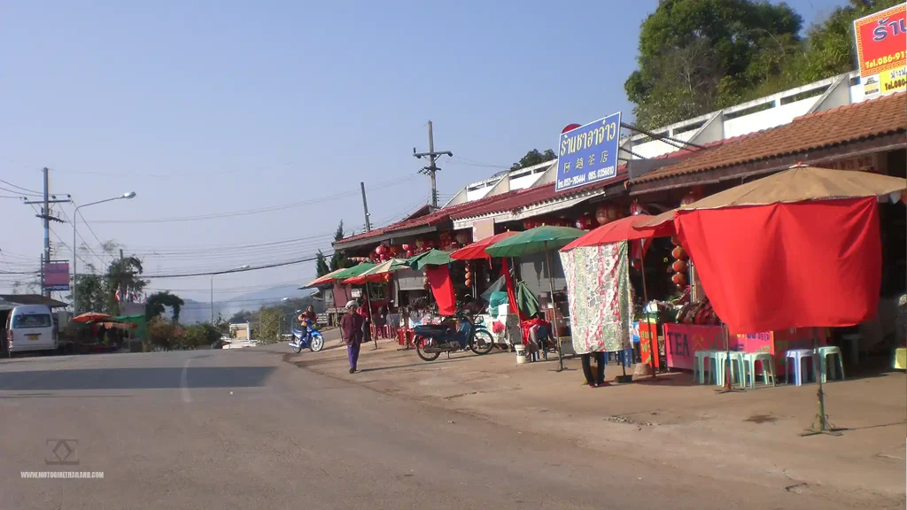 Doi Mae Salong