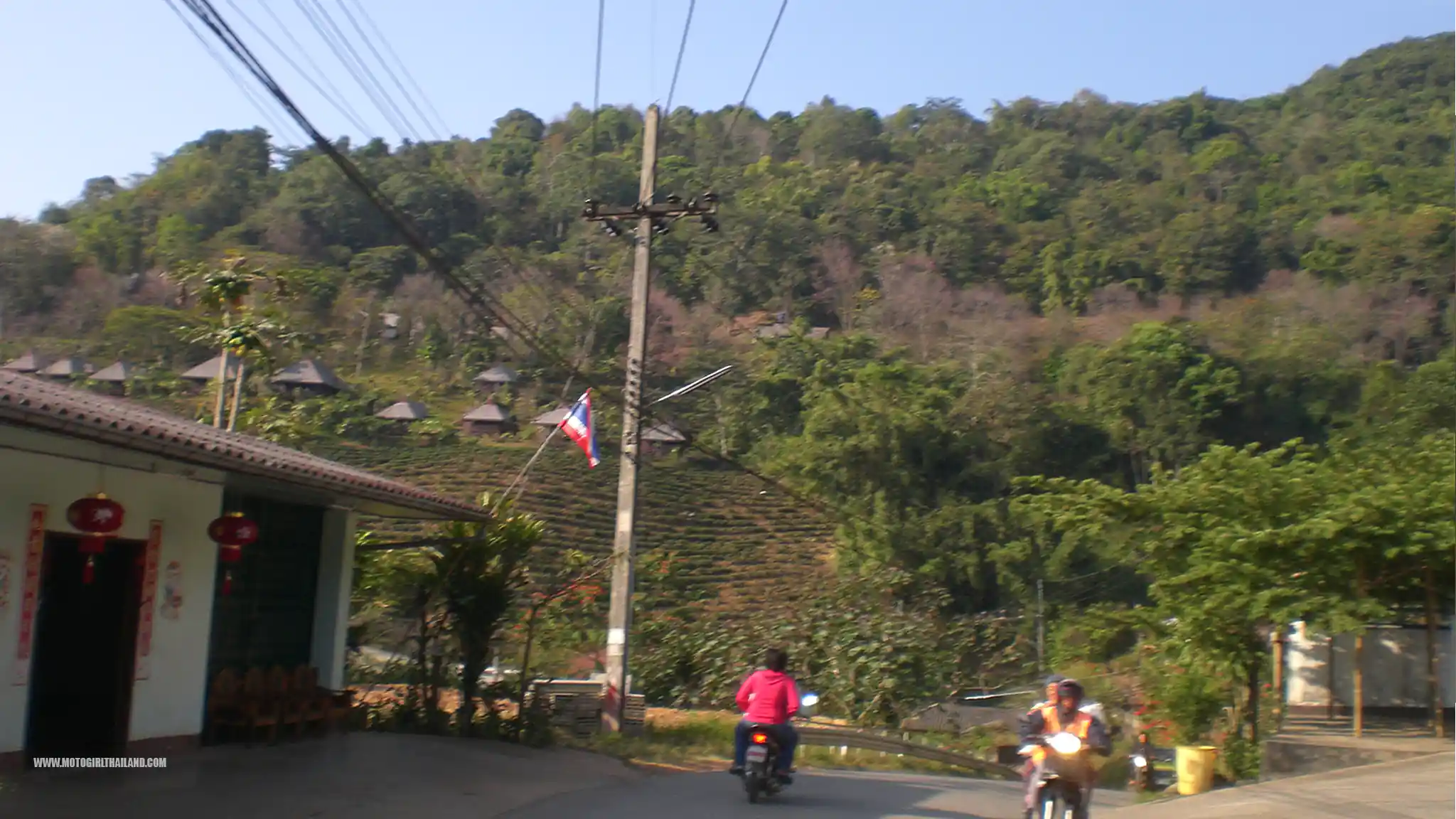 Doi Mae Salong