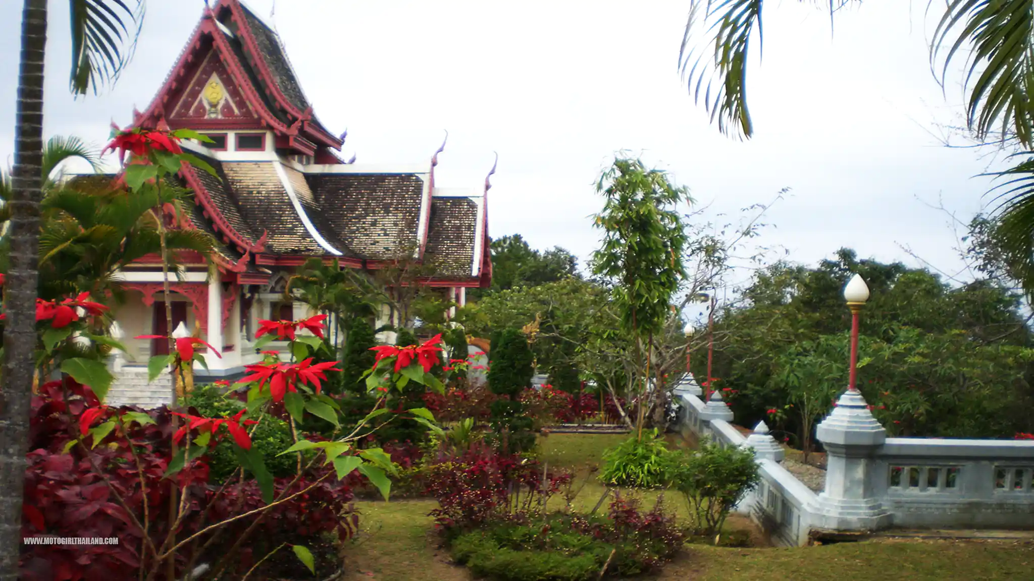 Doi Mae Salong