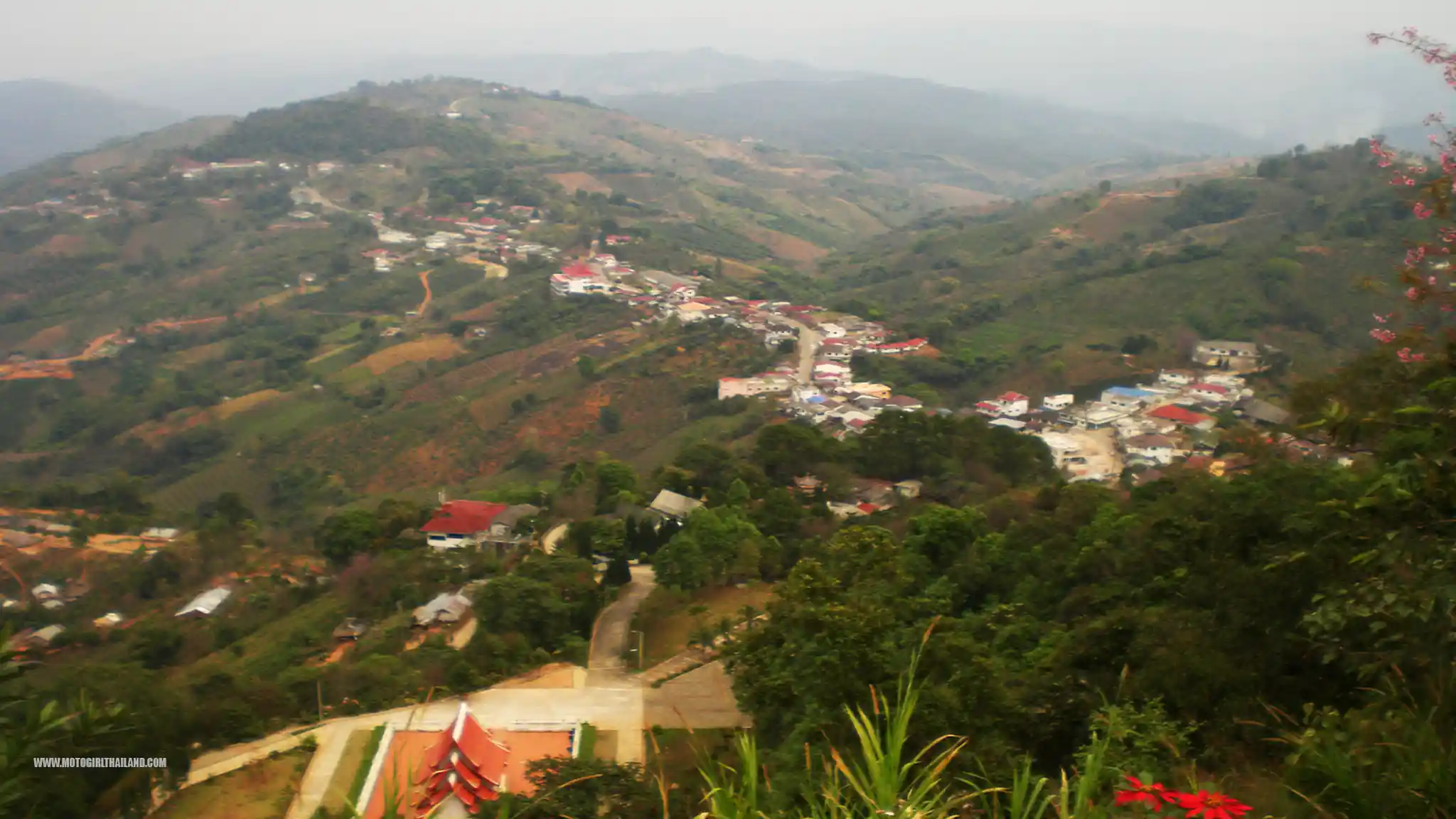 Doi Mae Salong