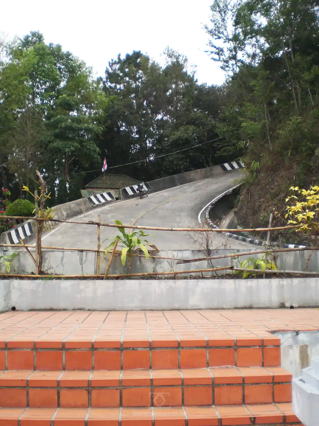 Doi Mae Salong