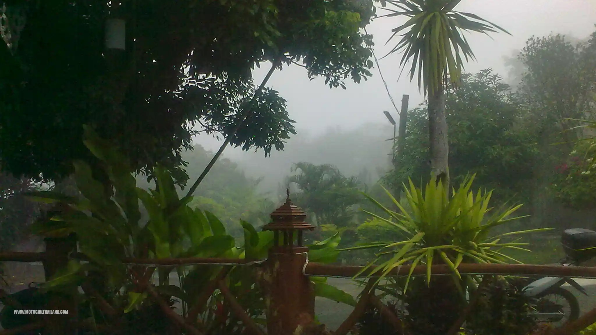 Pai 2011 Accommodation