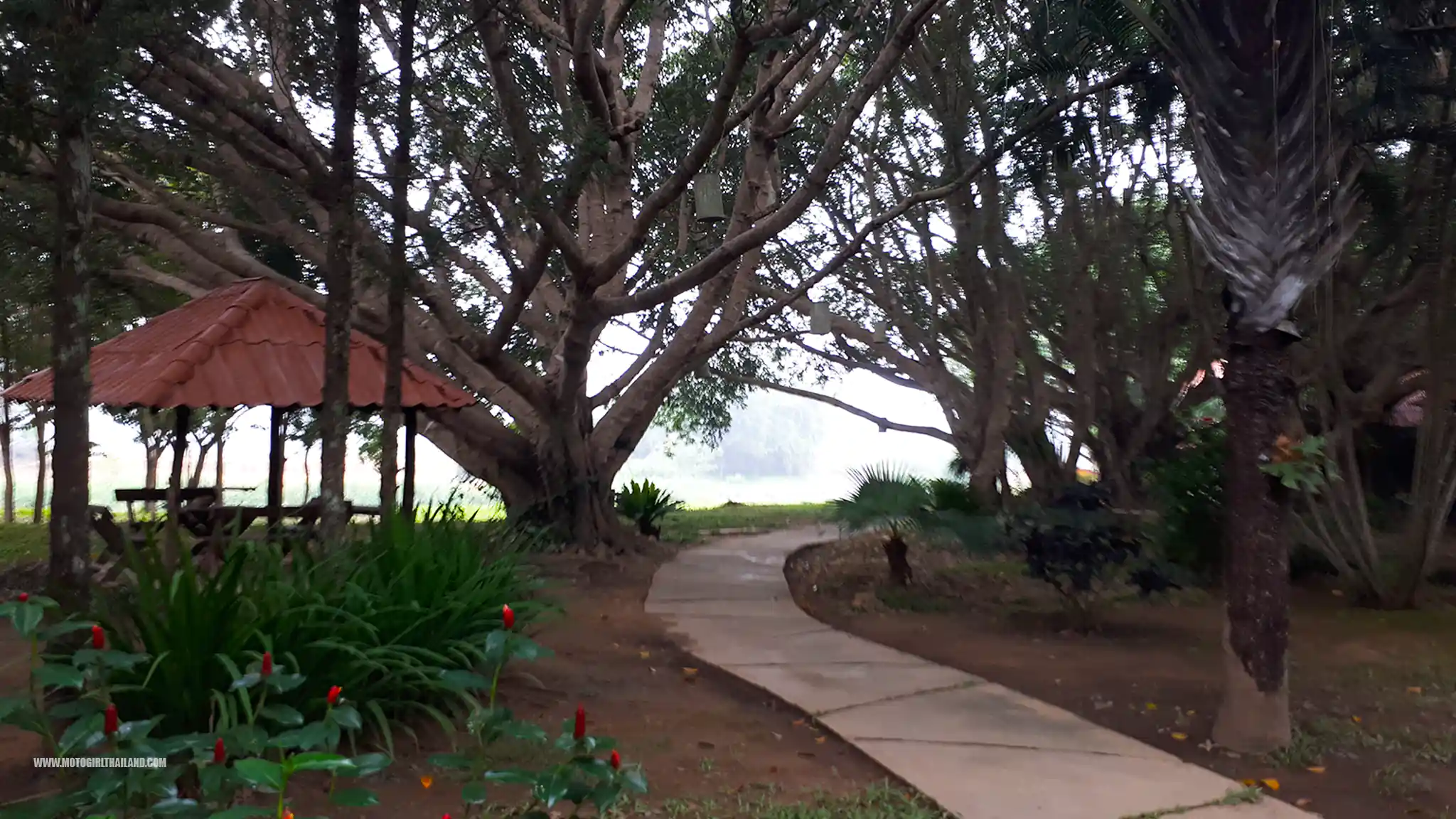 Pai Hot Springs Resort