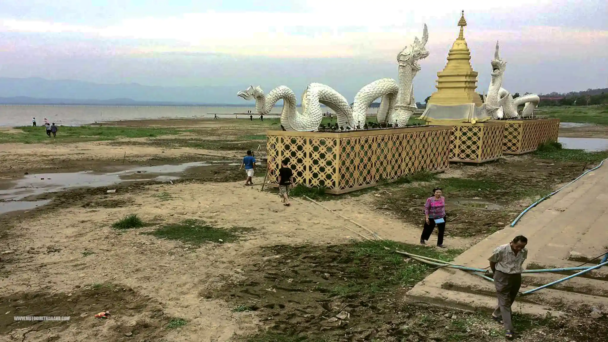 Phayao Nagas Dry