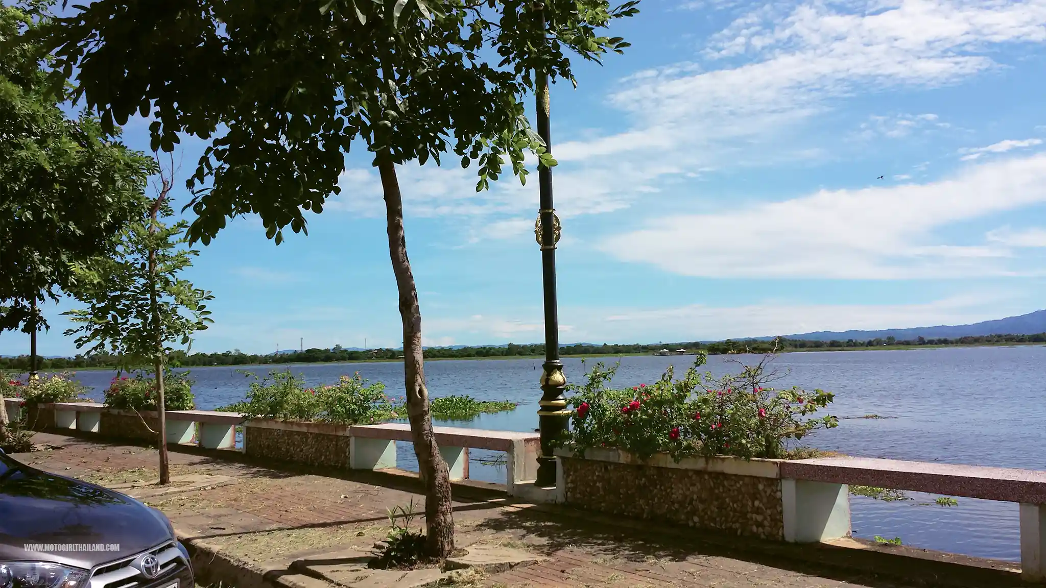 Phayao Nagas Dry