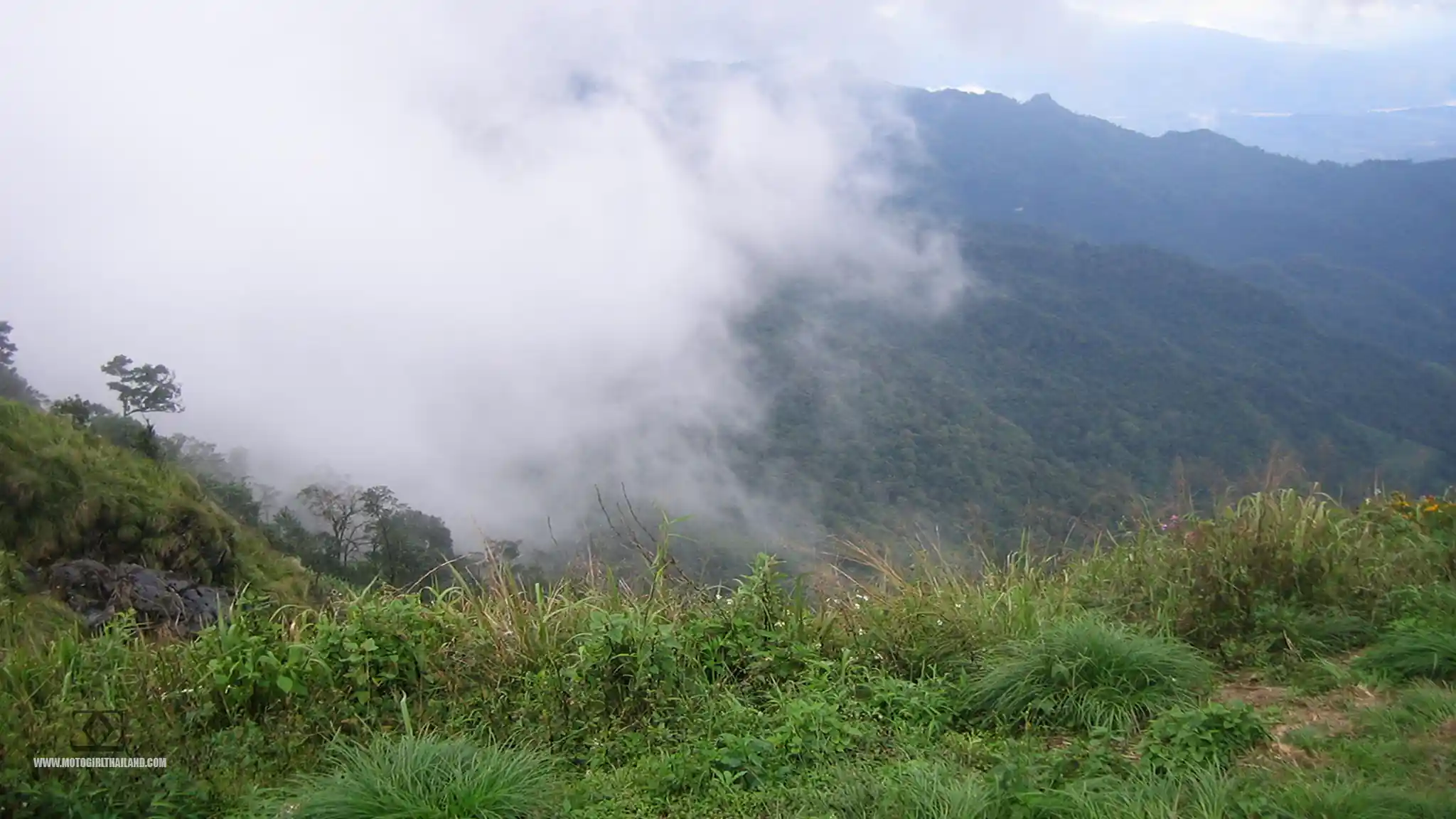 Phu Chi Fa