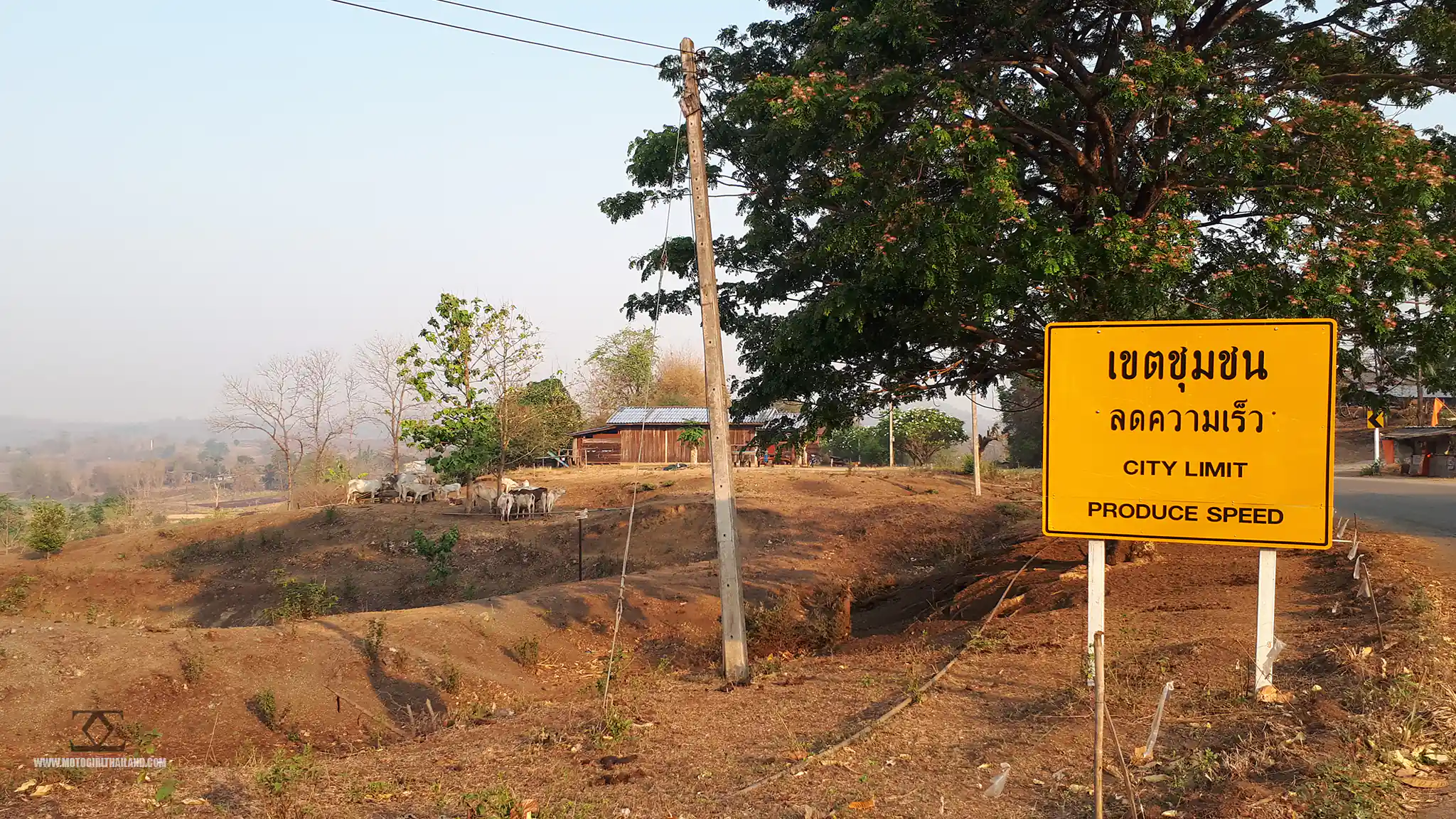 Produce Speed Sign Route to Queen Sirikit Dam
