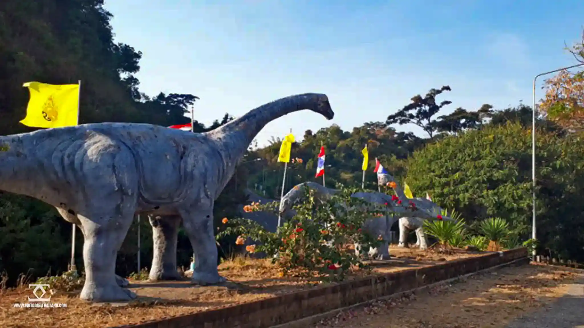R120 Dinos View