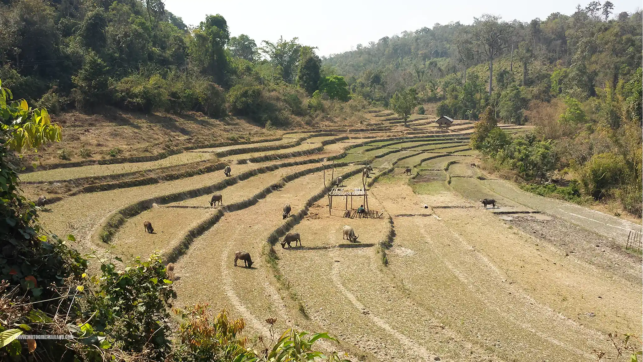Samoeng Viewpoint