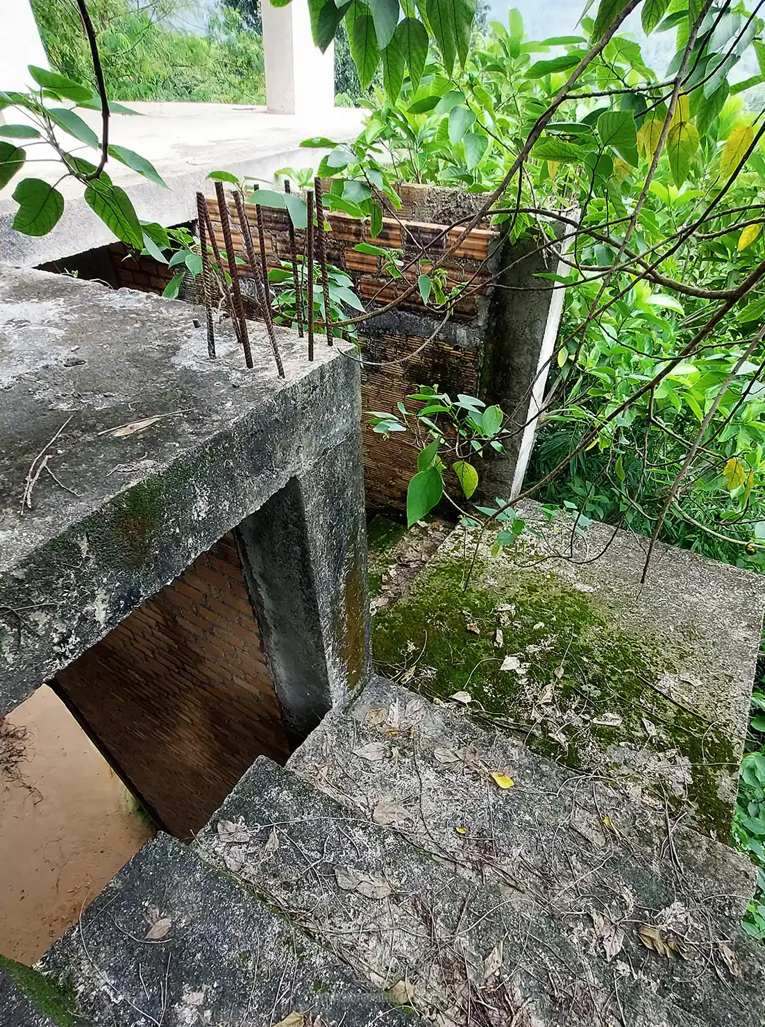 Temple in a forest with a river