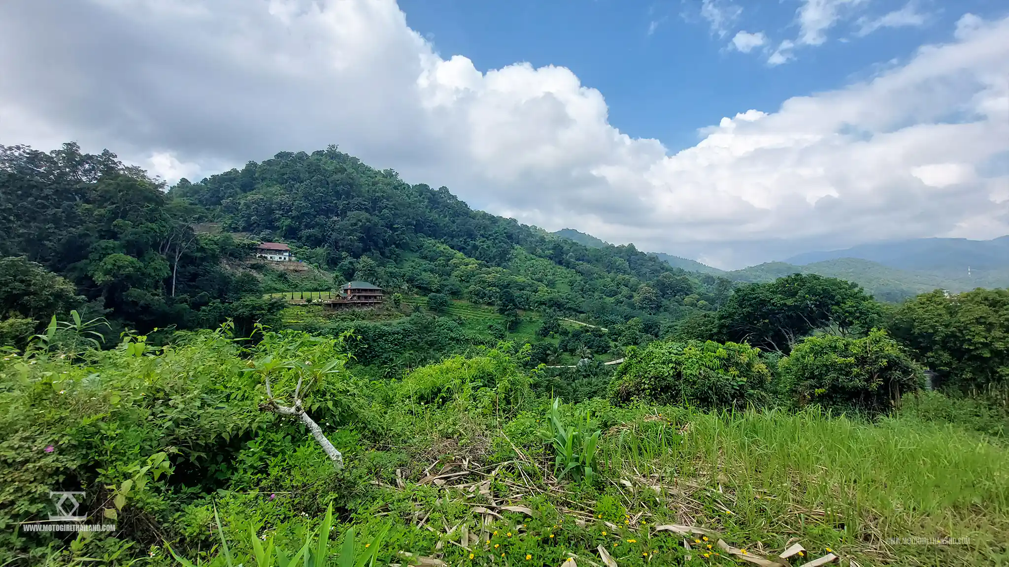 Samoeng Tai Farmer