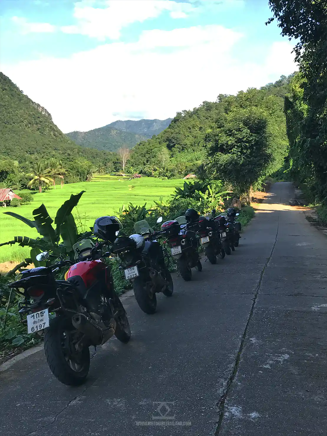 Bikes View