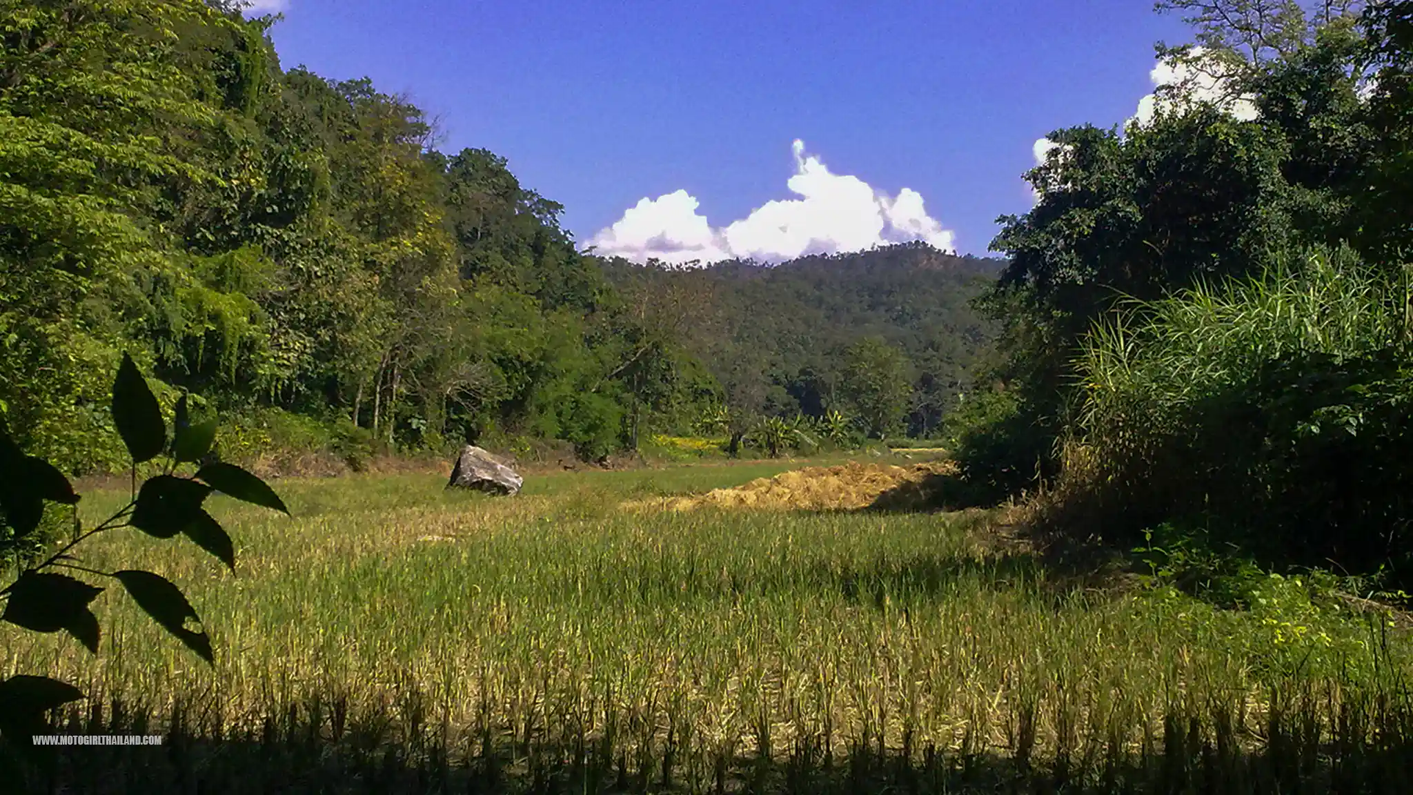 Pai 2011 Accommodation