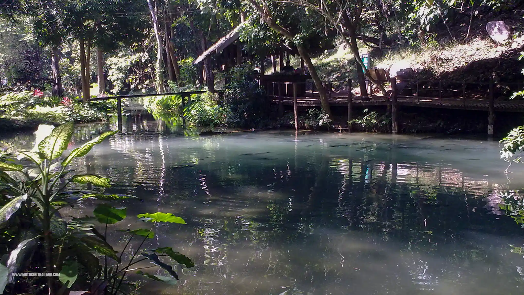 Thampla Fish Caves