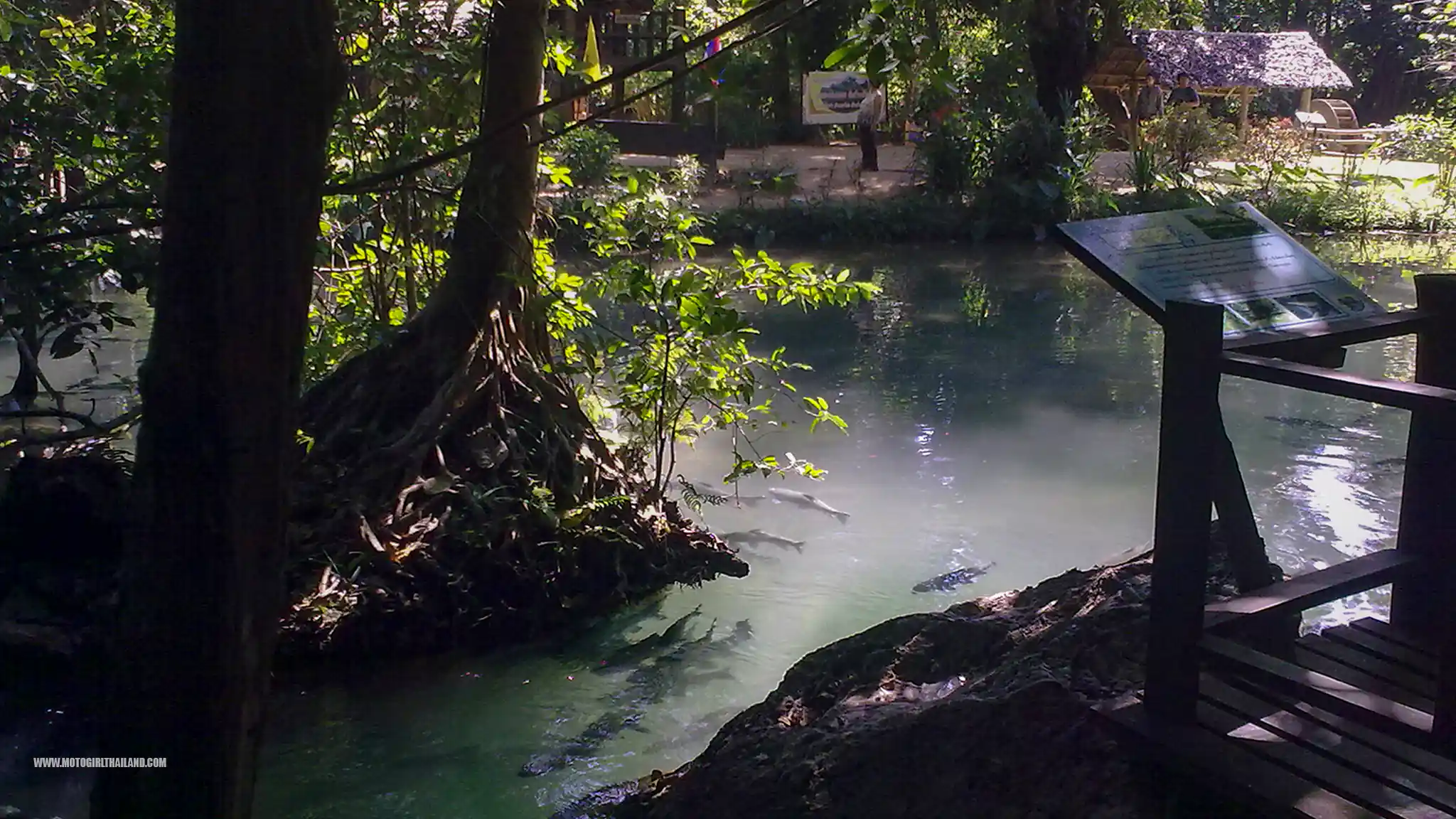 Thampla Fish Park