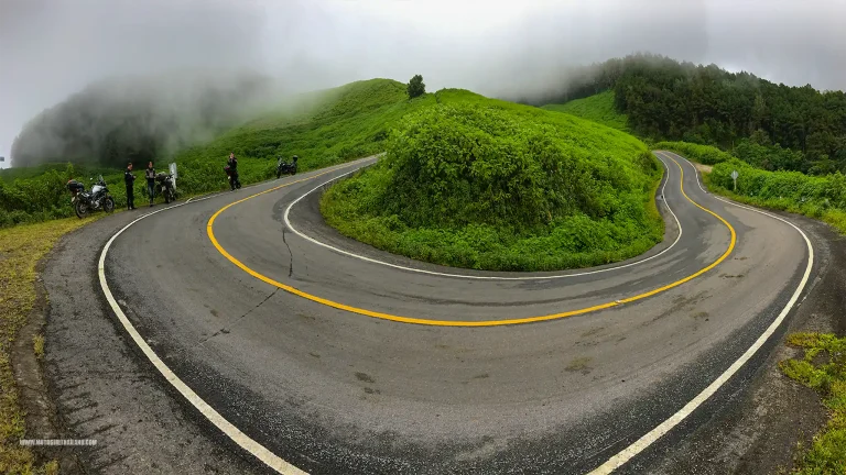 Tong Bua Tong Doi Mae U Kho Sunflowers