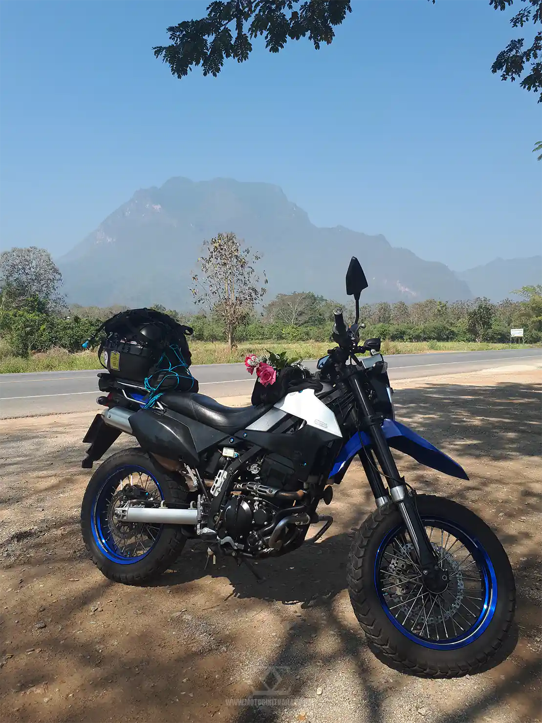Valentines Roses Motorbike Chaang Dao Burning Season