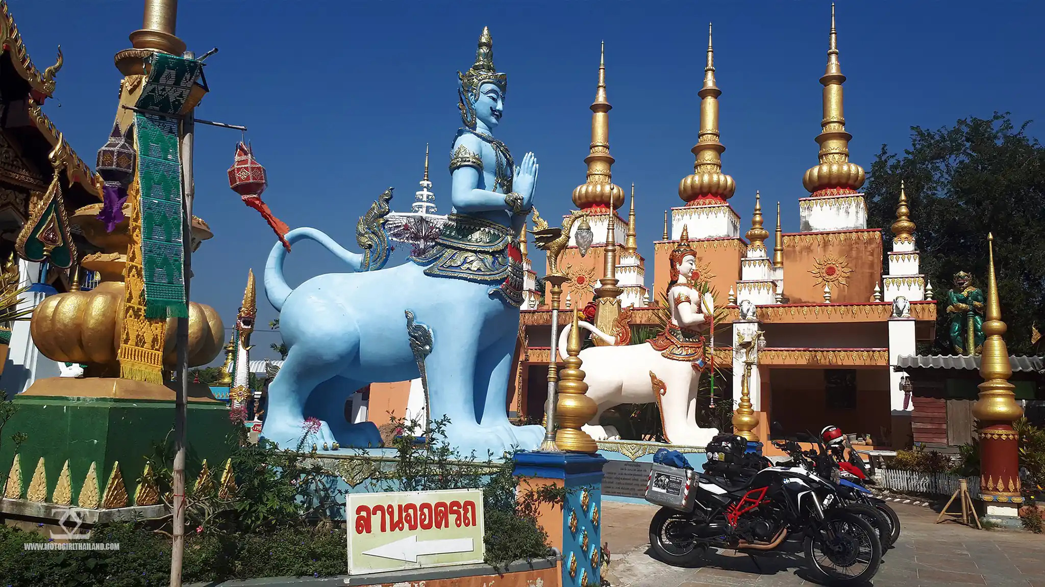 Doi Mae Salong Tea Plantation