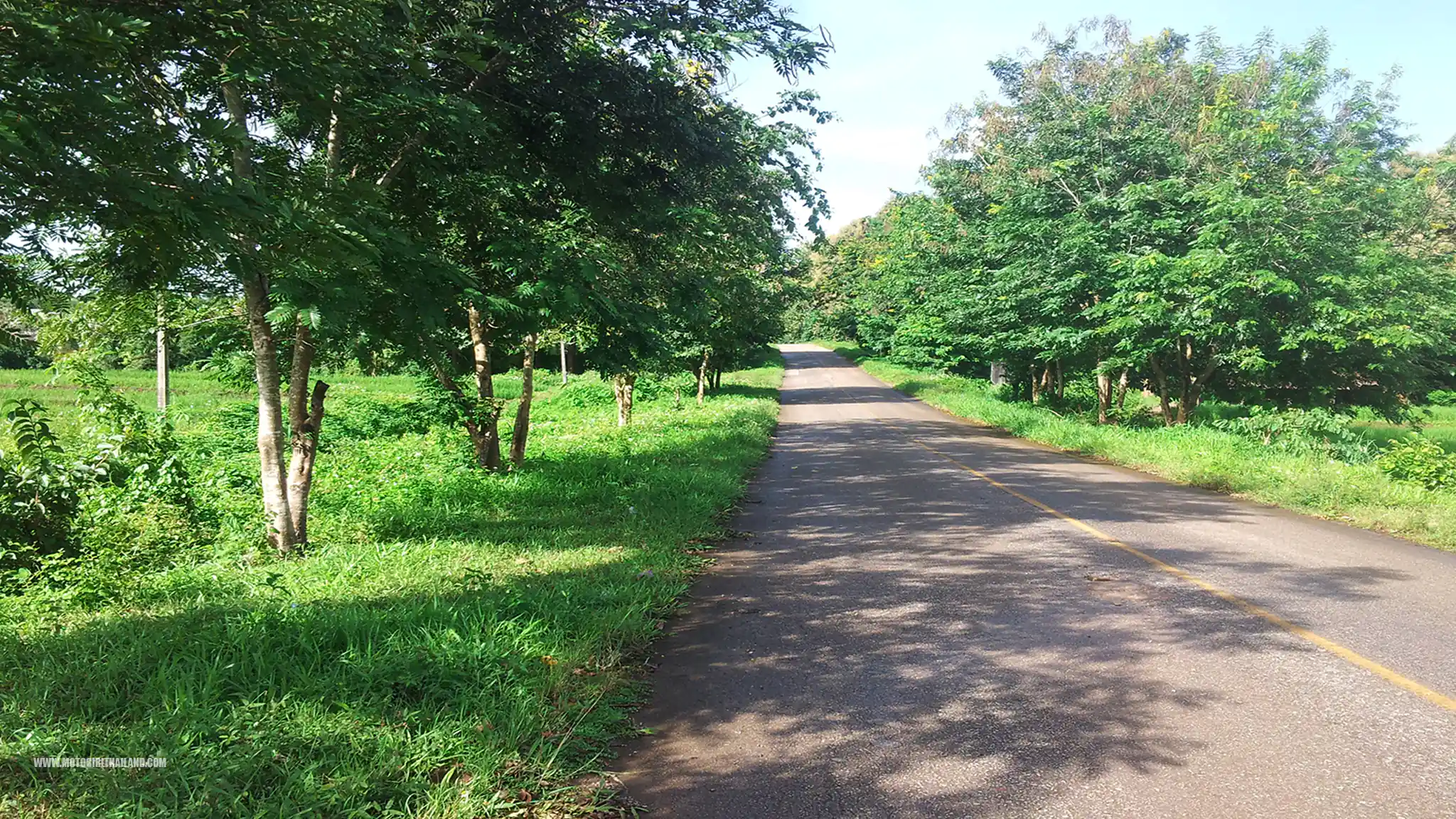 Wiang Haeng