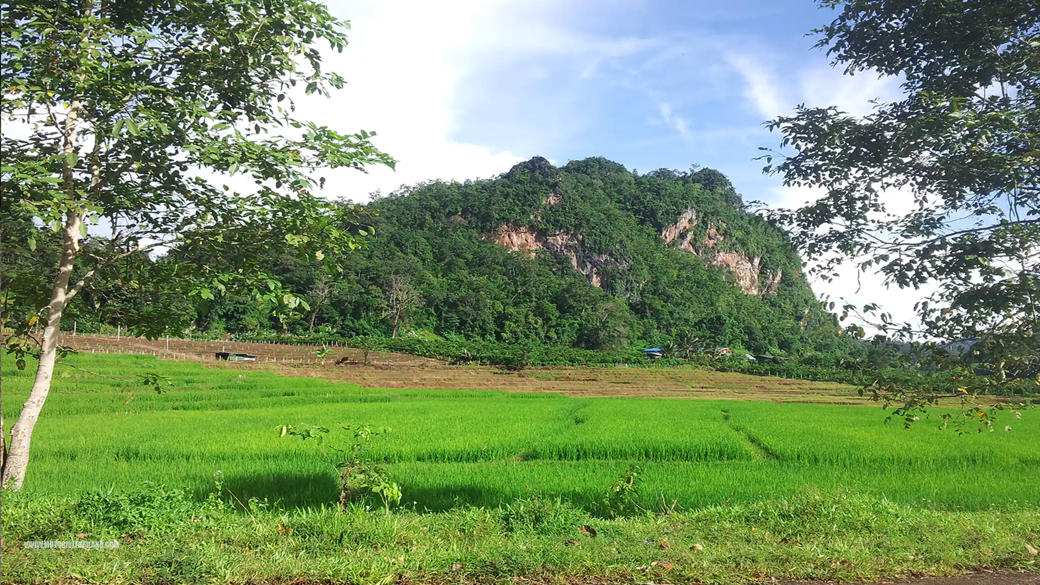 Wiang Haeng