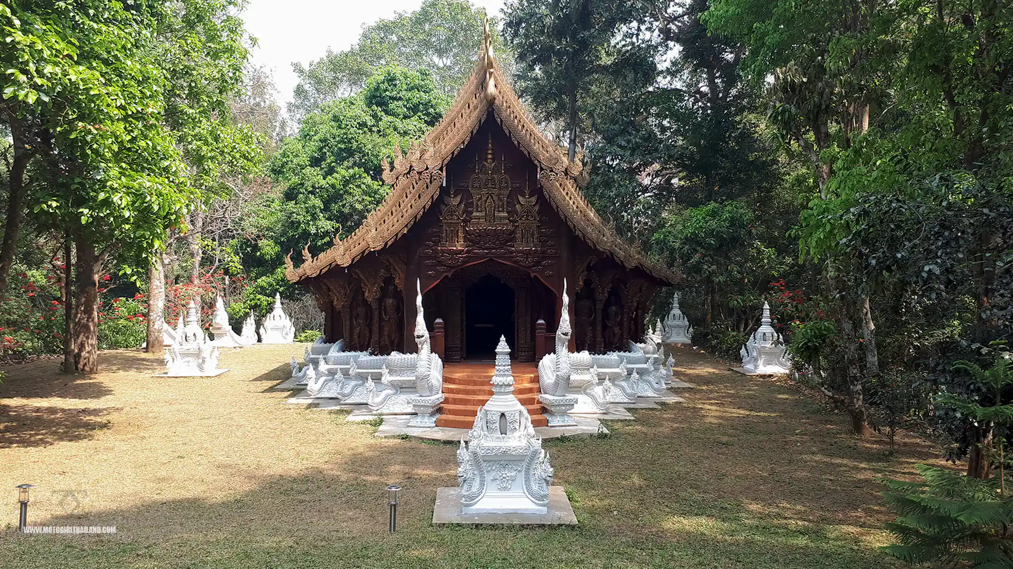 Hidden Forest Temple