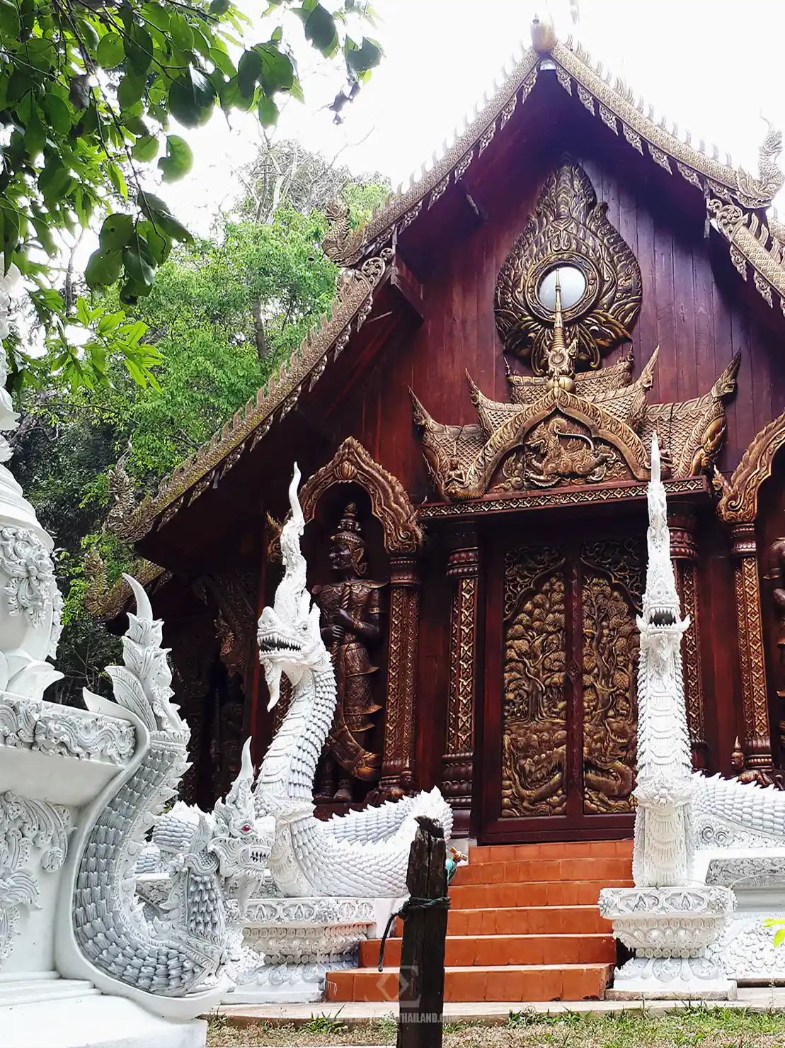 Hidden Forest Temple