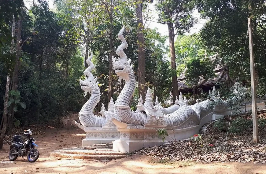 Hidden Forest Temple