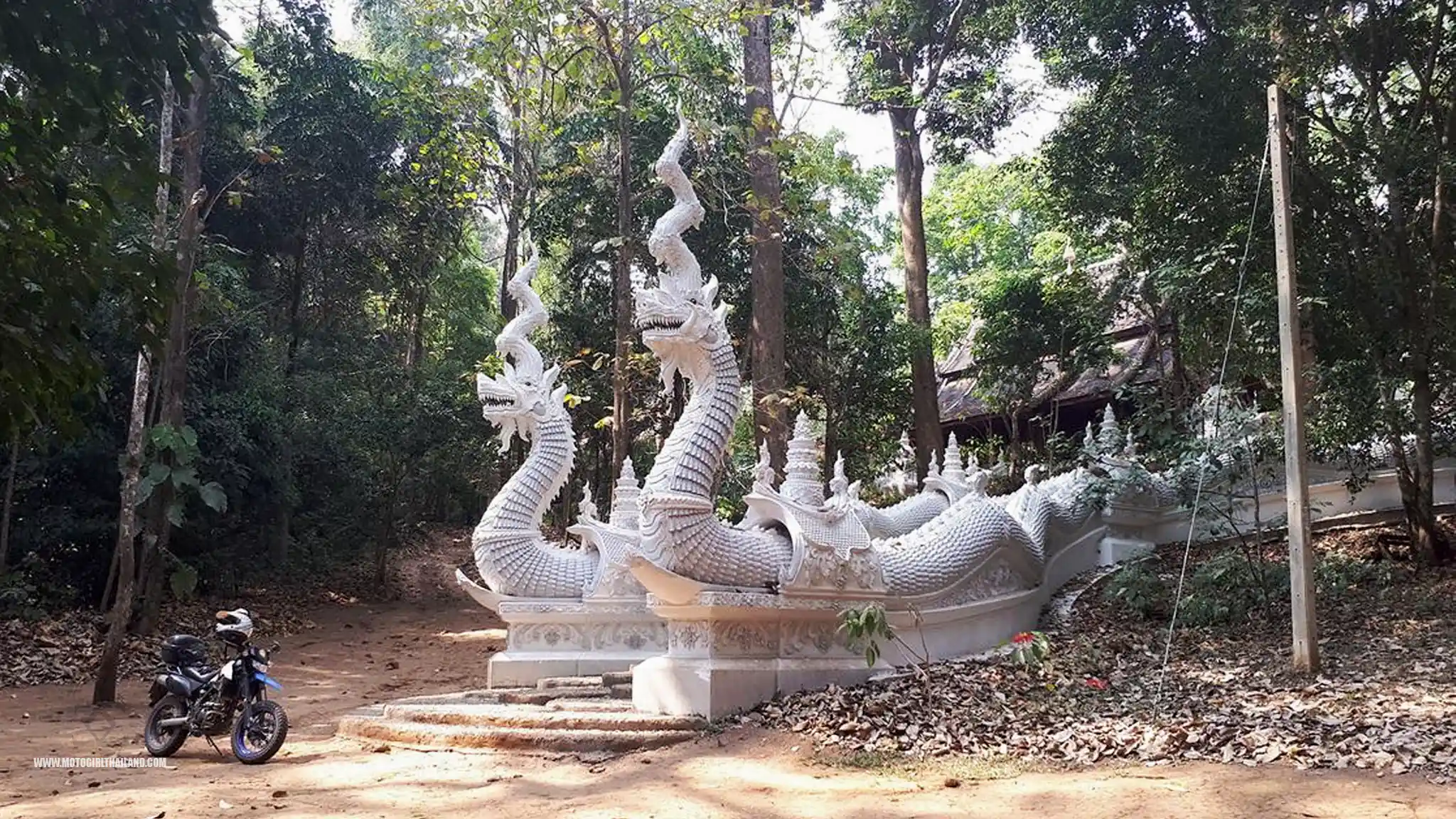 Hidden Forest Temple